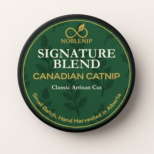 Signature Blend | Classic Catnip for Play and Engagement