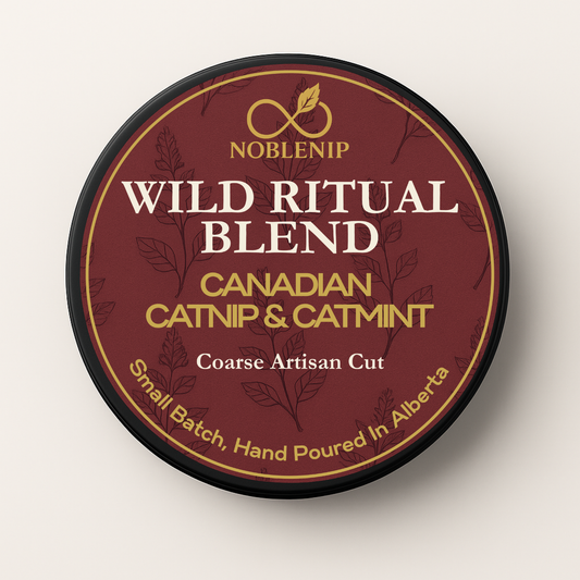 Wild Ritual Cut | Coarse Cut Catnip and Catmint for Sensory Play