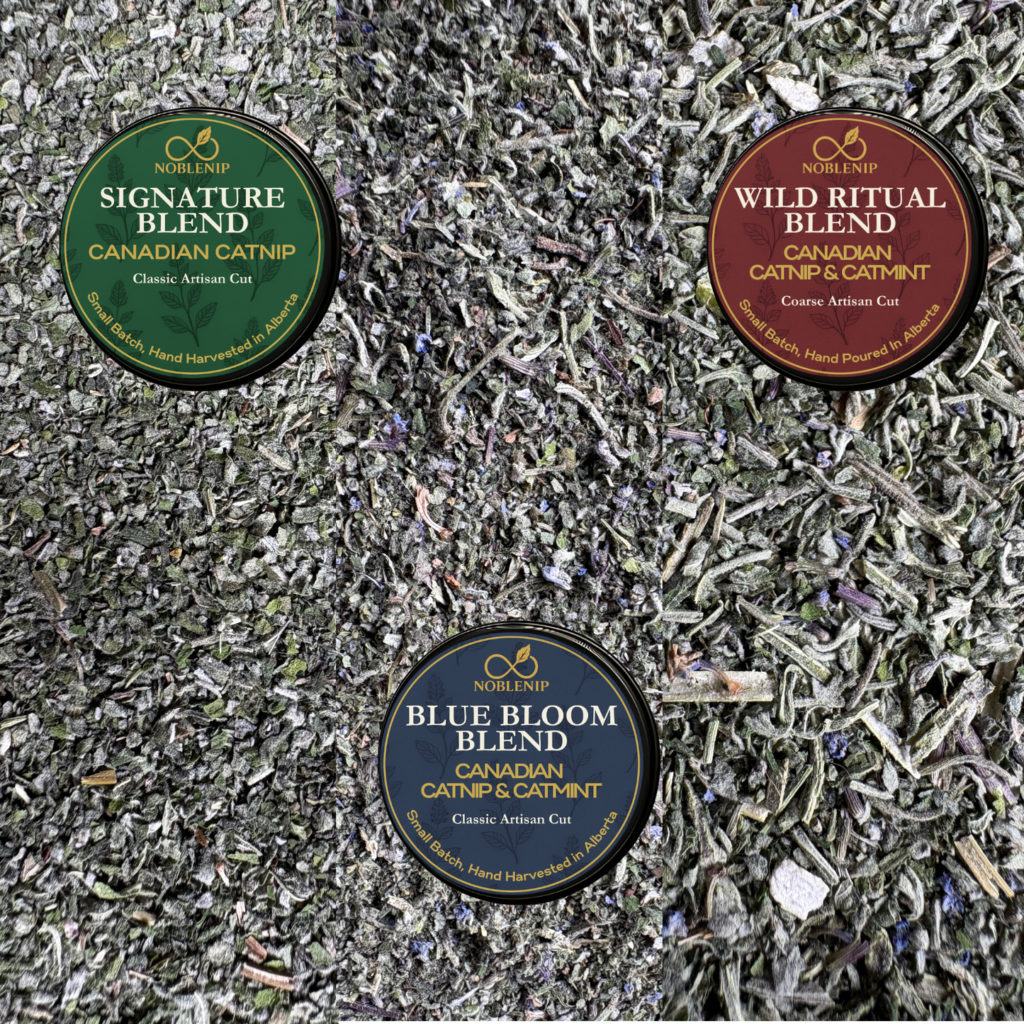 Discovery Blend Trio | NobleNip Catnip Sampler